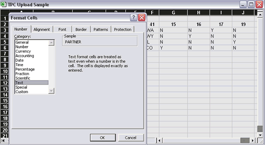 In the Number tab, format the cells to text.